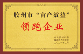 領跑企業